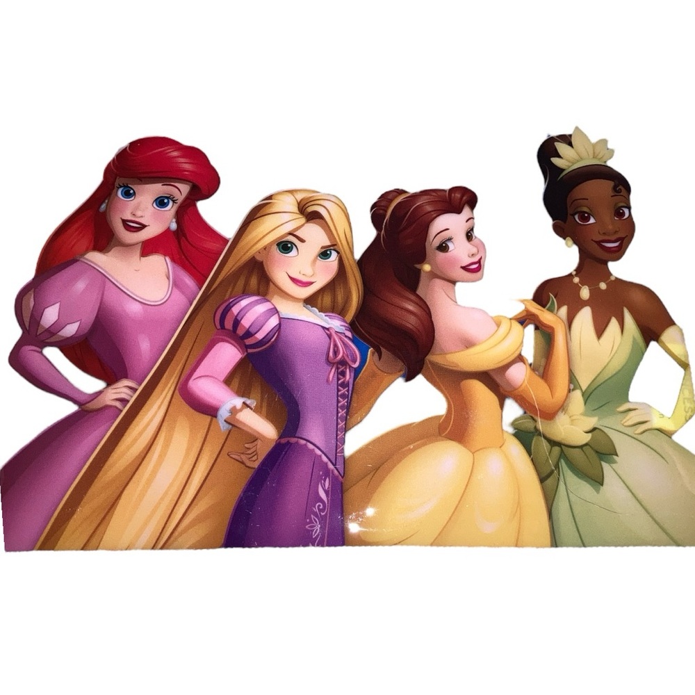 Disney Princess Binder Pouch - Picture 2 of 6